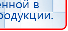 СКЭНАР-1-НТ (исполнение 02.1) Скэнар Про Плюс купить в Муроме, Аппараты Скэнар купить в Муроме, Скэнар официальный сайт - denasvertebra.ru